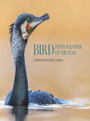 cover image of Bird Photographer of the Year